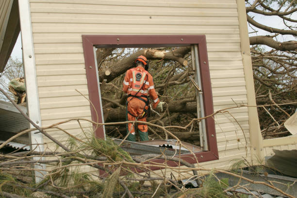 Tree and Shrub Care in New Iberia, LA